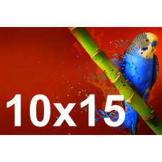 Друк фотографій 10х15