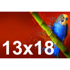 Друк фотографій 13х18