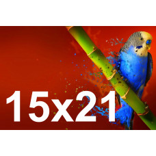 Друк фотографій 15х21