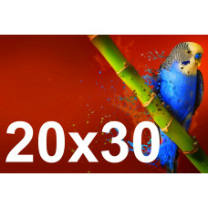 Друк фотографій 20х30