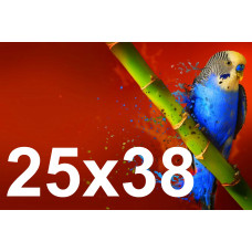 Друк фотографій 25х38
