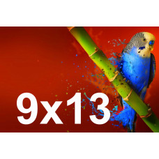 Друк фотографій 9х13