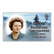 Емаль 14х21 (Прямокутник) - Вар. 30